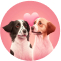 Animal Voice